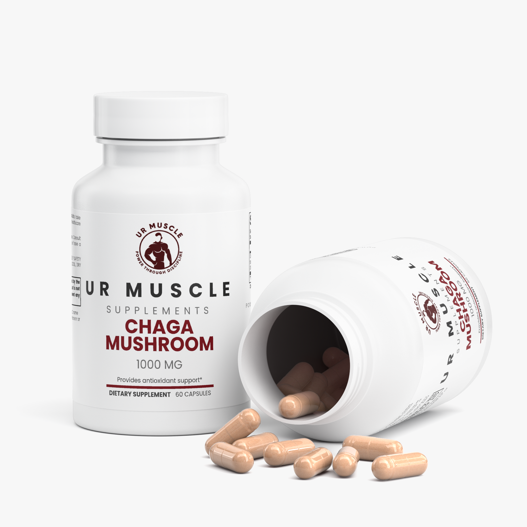 Chaga Mushroom